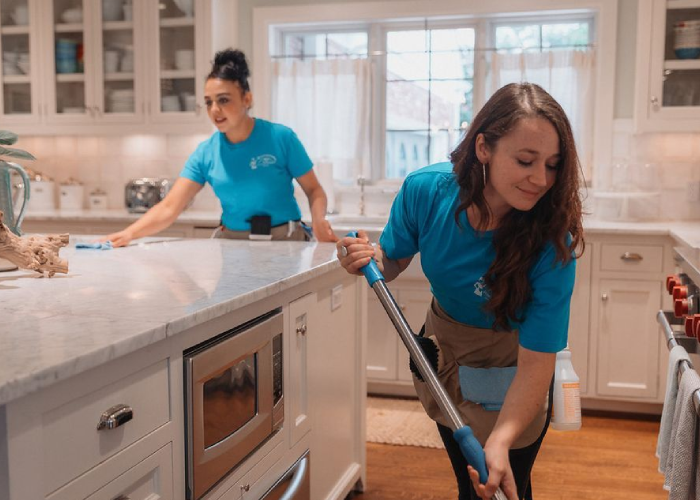 House Maid and Servant